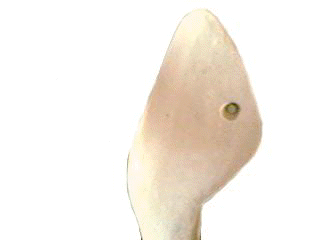 oggetti